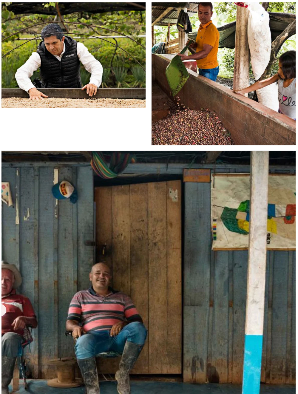 Colombian (Light) Magia del Campo Coffee