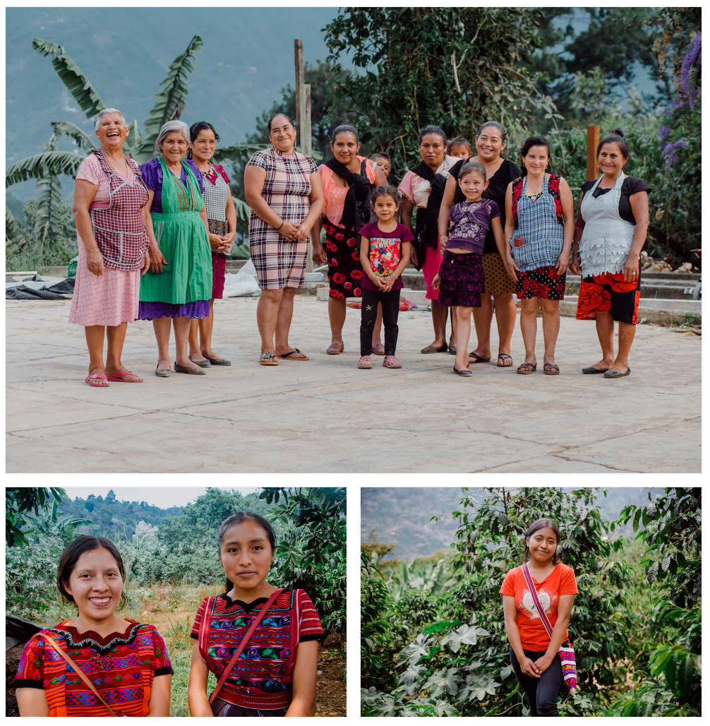 Guatemalan (Medium) Manos de Mujer Guatemalan Coffee