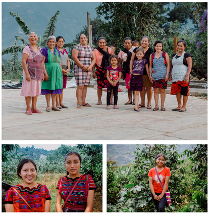 Guatemalan (Medium) Manos de Mujer Guatemalan Coffee